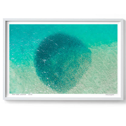 Perspective - Aerial Print of Avoca Beach, NSW