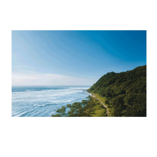 Aerial view of a winding coastal track leading through lush green hills beside the vast ocean at Bateau Bay, NSW.