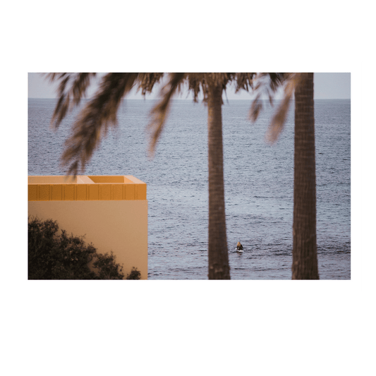 A serene coastal scene at Cronulla, Sydney, featuring a lone surfer waiting in the ocean, framed by palm trees and modern architecture.