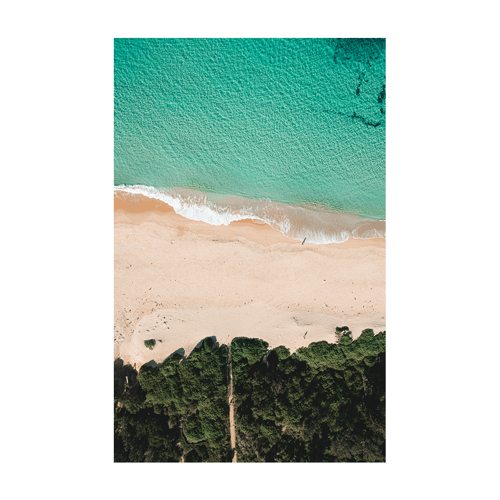 Aerial view of Forresters Beach, NSW, featuring a winding sandy track through coastal greenery leading to turquoise waters.
