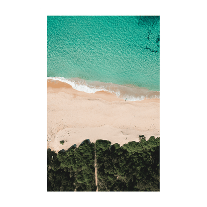 Aerial view of Forresters Beach, NSW, featuring a winding sandy track through coastal greenery leading to turquoise waters.
