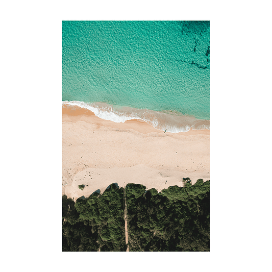 Aerial view of Forresters Beach, NSW, featuring a winding sandy track through coastal greenery leading to turquoise waters.
