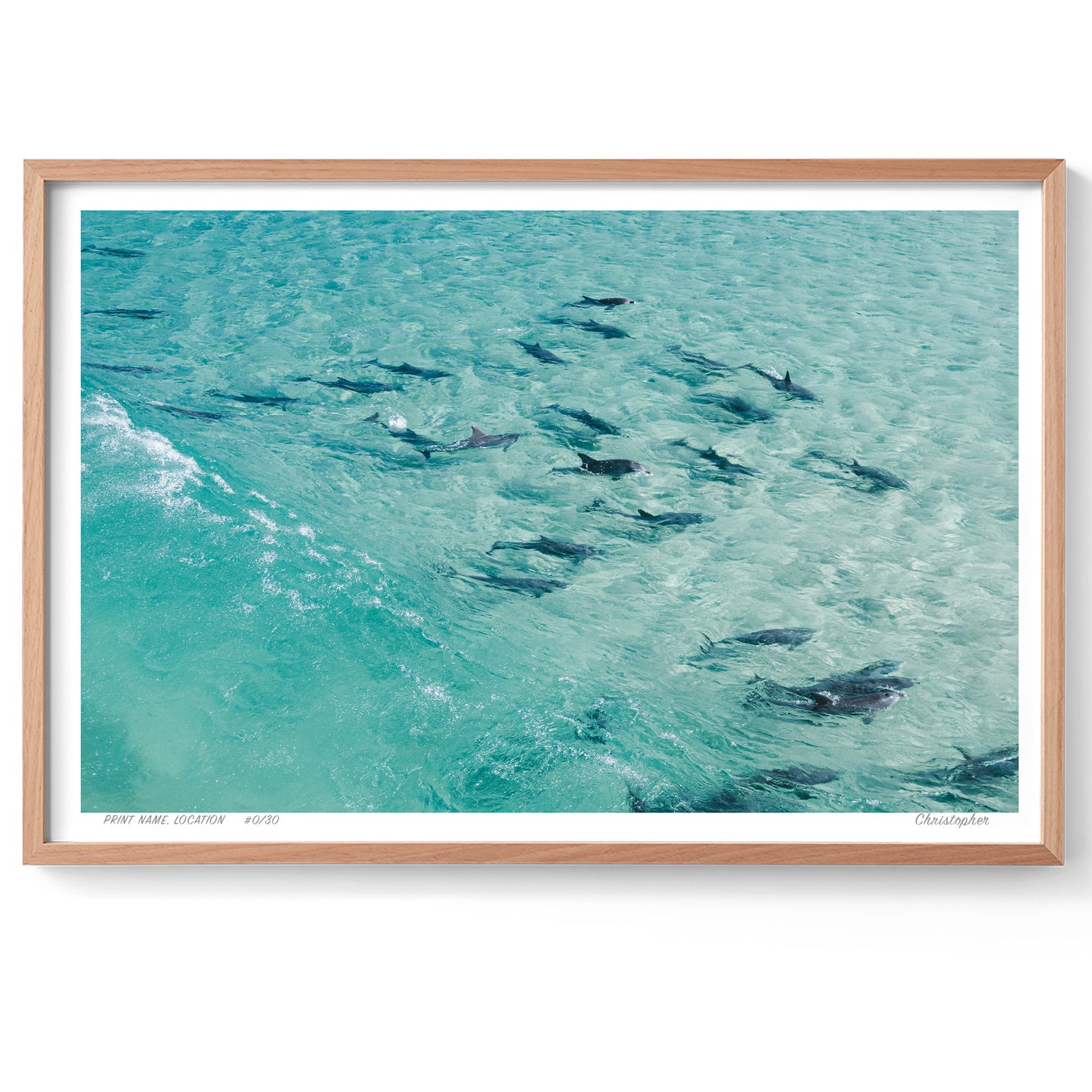 The Pack - Aerial Dolphin Print of Forster, NSW