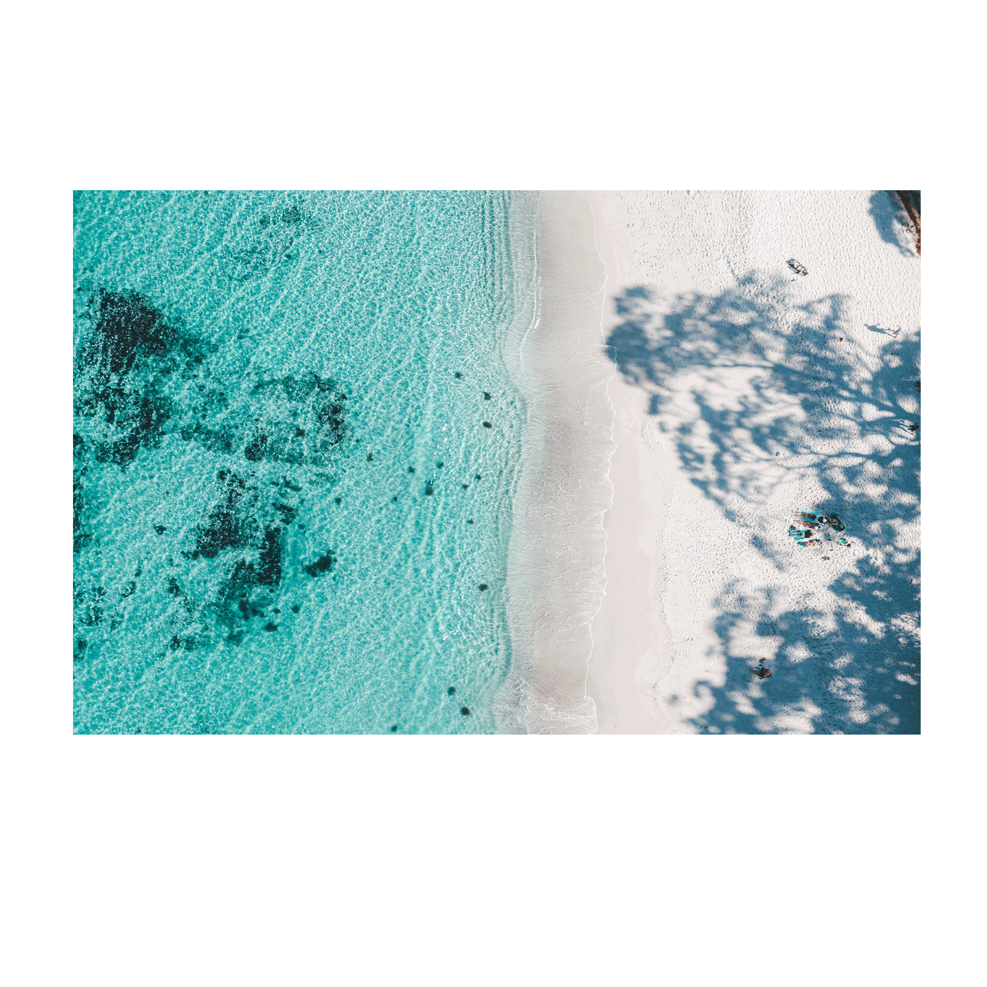 Aerial view of Hyams Beach on the NSW South Coast with crisp turquoise water and the branches of eucalypt trees casting shadows onto the sand.