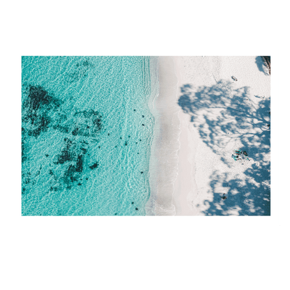 Aerial view of Hyams Beach on the NSW South Coast with crisp turquoise water and the branches of eucalypt trees casting shadows onto the sand.