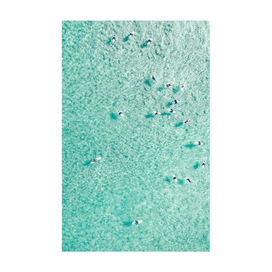 Community - Aerial Paddleboard Print of North Avoca Beach, NSW