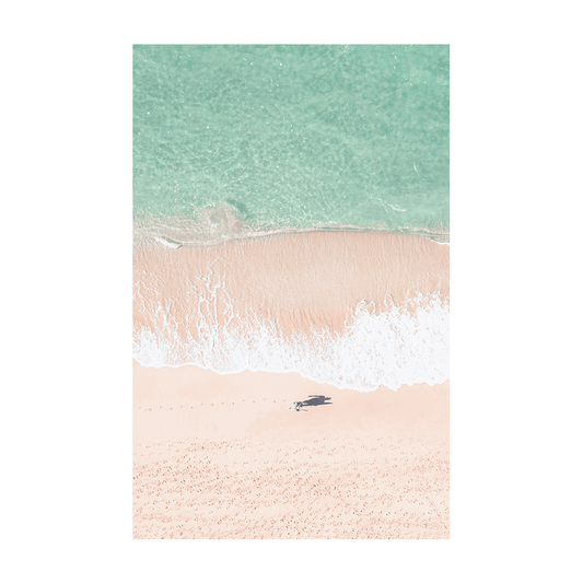 Aerial view of North Avoca Beach, NSW, featuring a person and their dog resting on soft sand near turquoise waters.