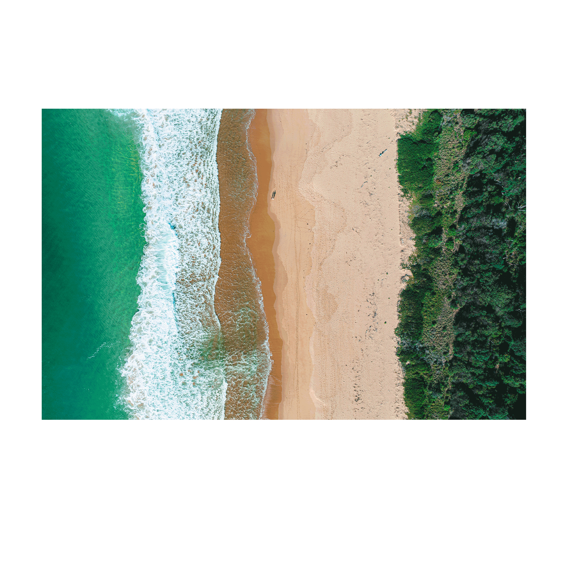 A stunning aerial view of Putty Beach, Central Coast, showing vibrant turquoise waves, golden sand, and lush greenery in perfect symmetry.