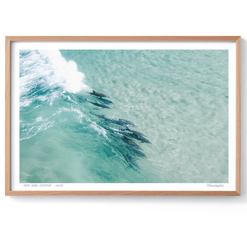 Share - Aerial Dolphin Print of Sandbar, Forster, NSW