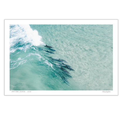 Share - Aerial Dolphin Print of Sandbar, Forster, NSW