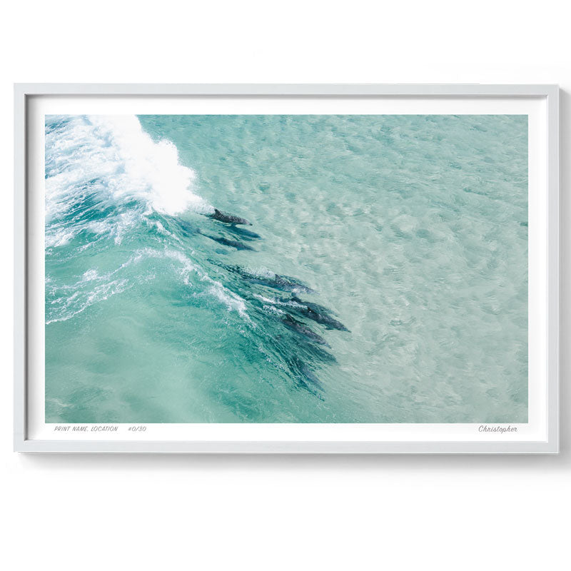 Share - Aerial Dolphin Print of Sandbar, Forster, NSW