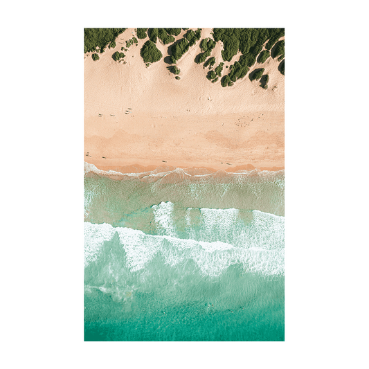 An aerial view of Shelly Beach, Central Coast, showing turquoise waves rolling onto golden sands with lush greenery scattered along the dunes.