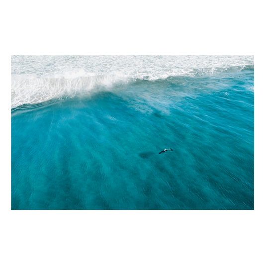 A stunning aerial ocean print of South West Rocks, NSW, featuring a lone seabird soaring above swirling turquoise waves.