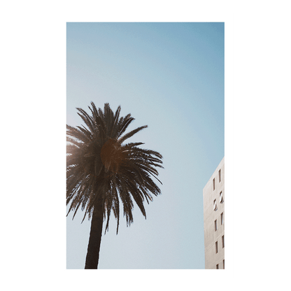 A coastal print of The Entrance Beach, NSW, featuring a tall palm tree with sunlight filtering through, set against a clear blue sky with modern architecture in the background.