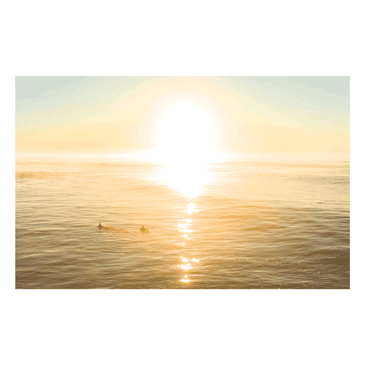 A stunning sunset over Wamberal Beach, NSW, with golden light reflecting on the ocean as two surfers paddle towards the horizon.
