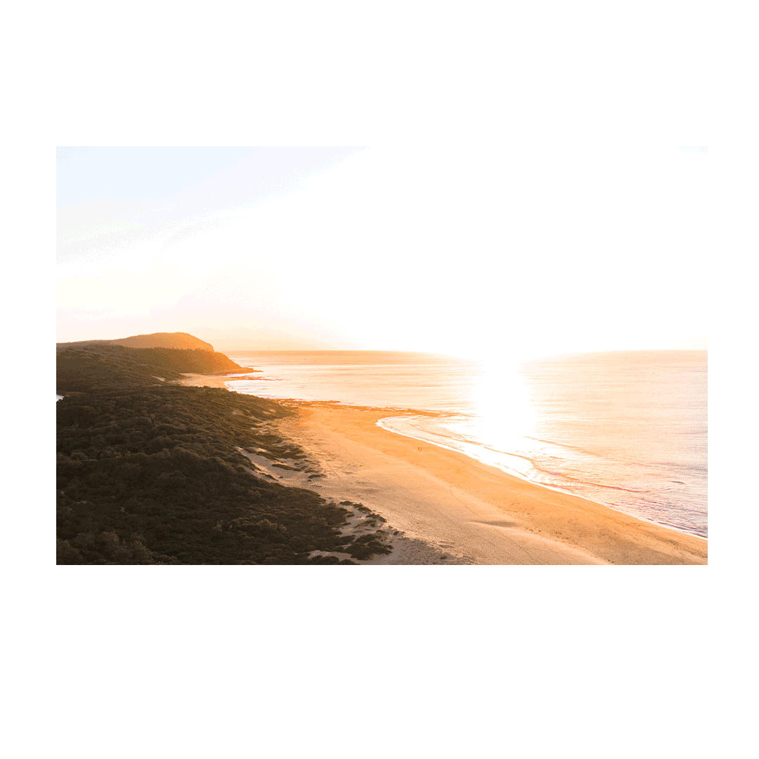 📸 A stunning sunrise over Wamberal Beach, NSW, with golden sunlight reflecting on the coastline and gentle waves meeting the untouched shore.
