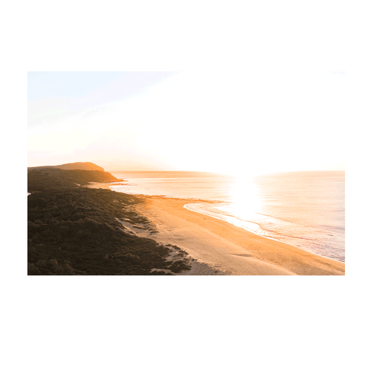 📸 A stunning sunrise over Wamberal Beach, NSW, with golden sunlight reflecting on the coastline and gentle waves meeting the untouched shore.
